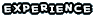 EXPERRICE 